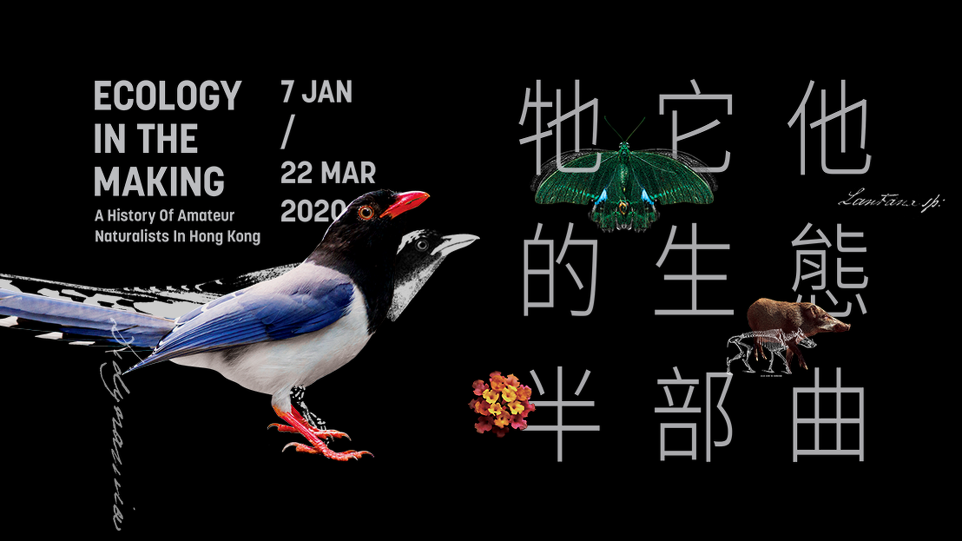 專題展覽：牠它他的生態半部曲