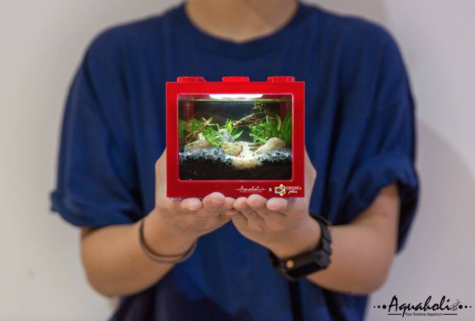 DIY迷你積木生態缸工作坊