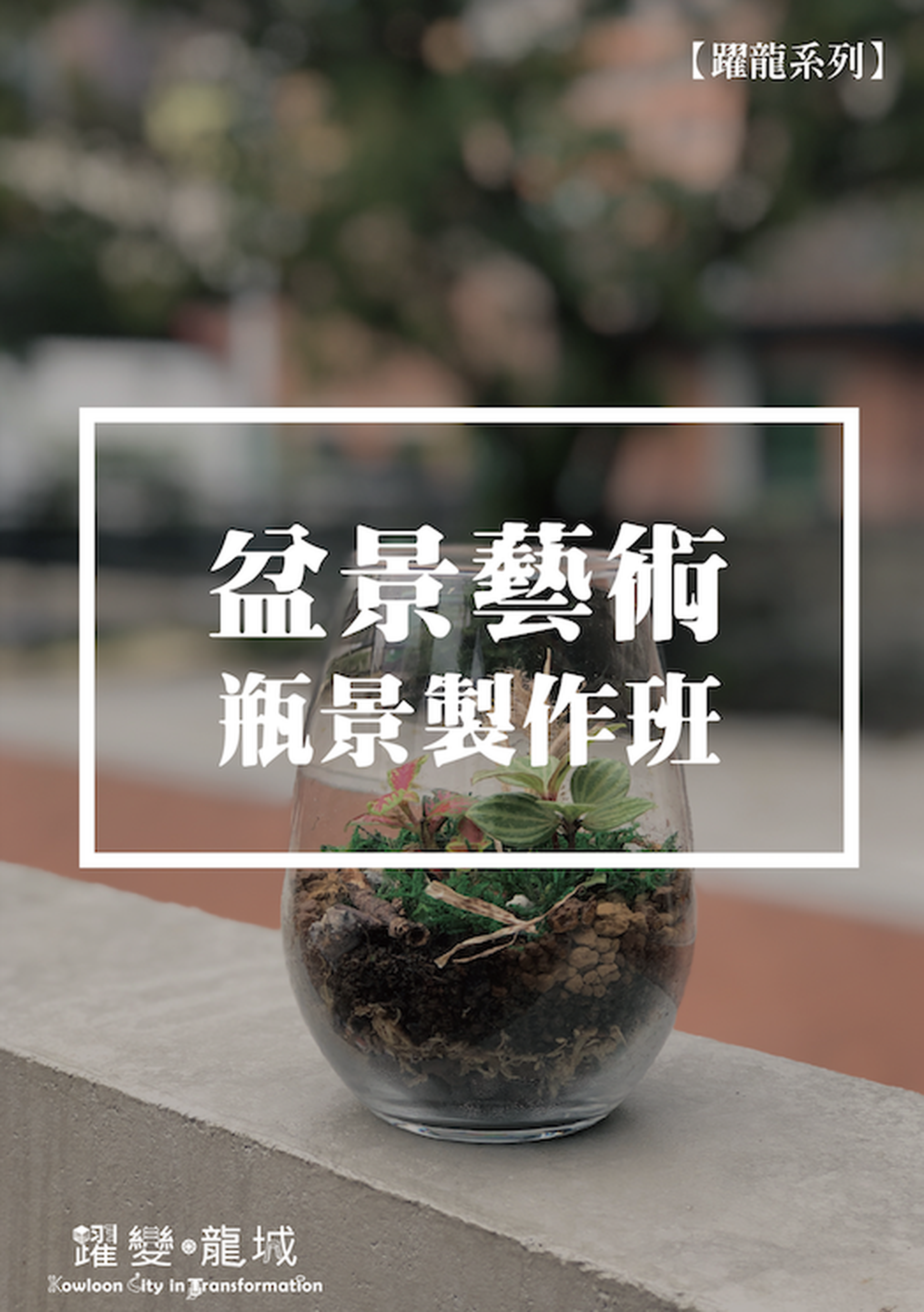 盆景藝術——瓶景製作班