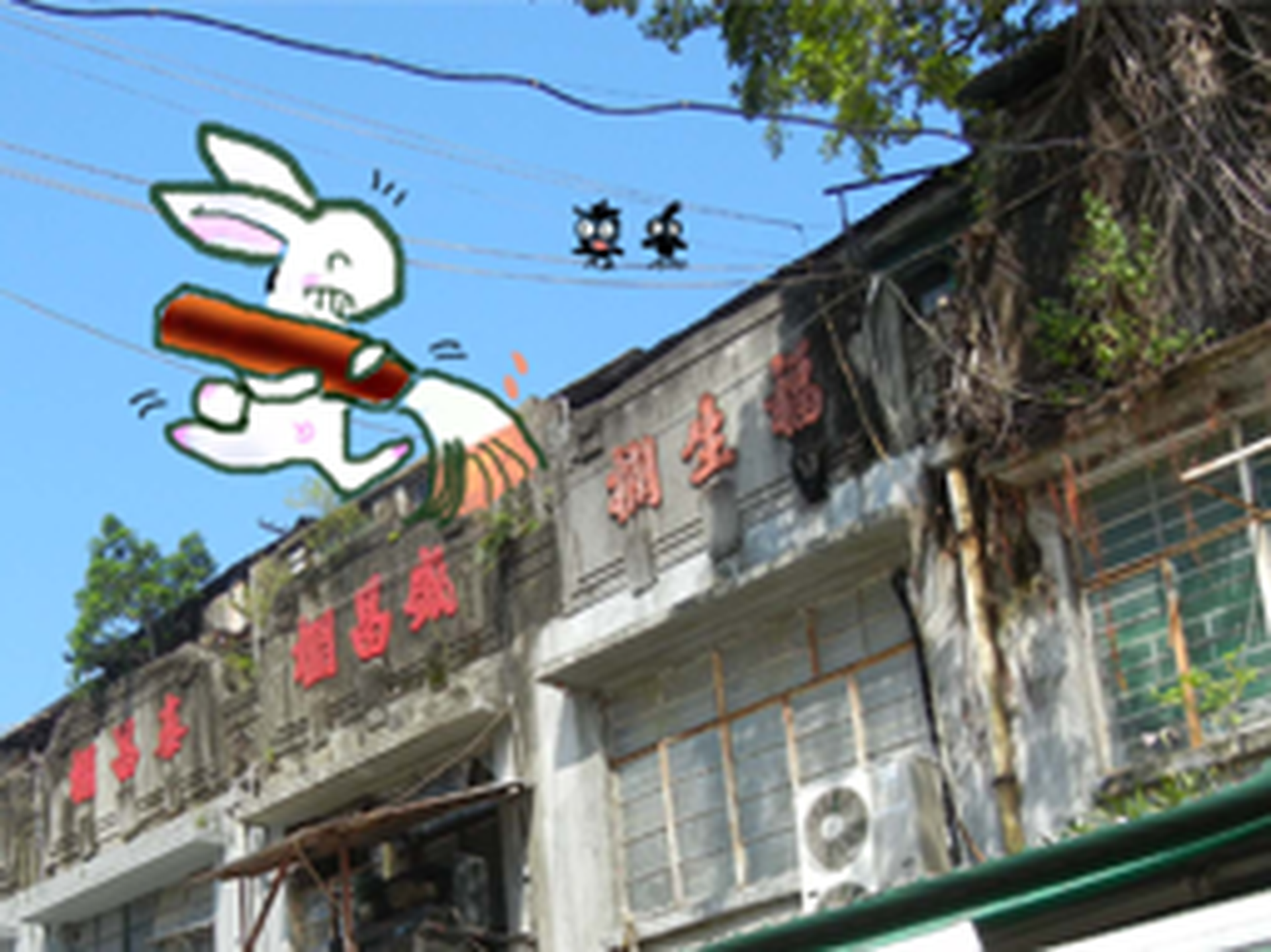本地文化深度遊（又名：文青遊樂場）