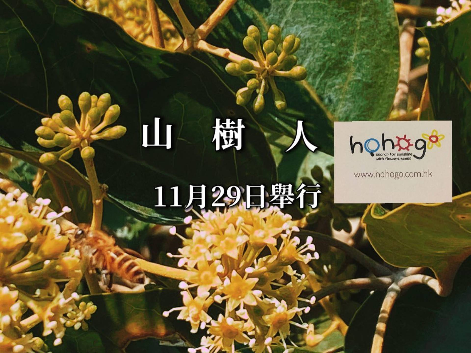 山。樹。人。 綠悠遊