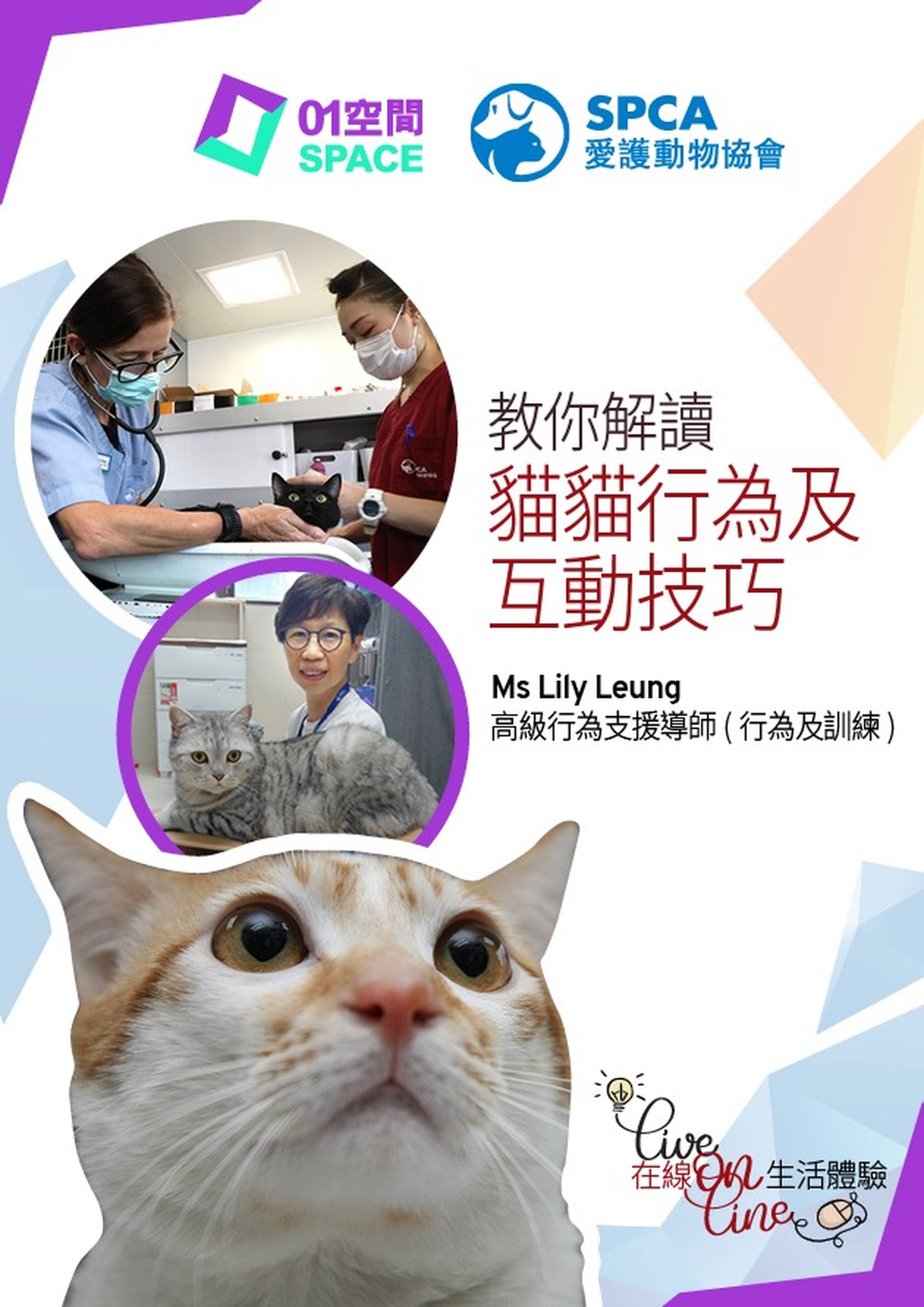 【重溫】01空間 X SPCA 教你解讀貓貓行為及互動技巧