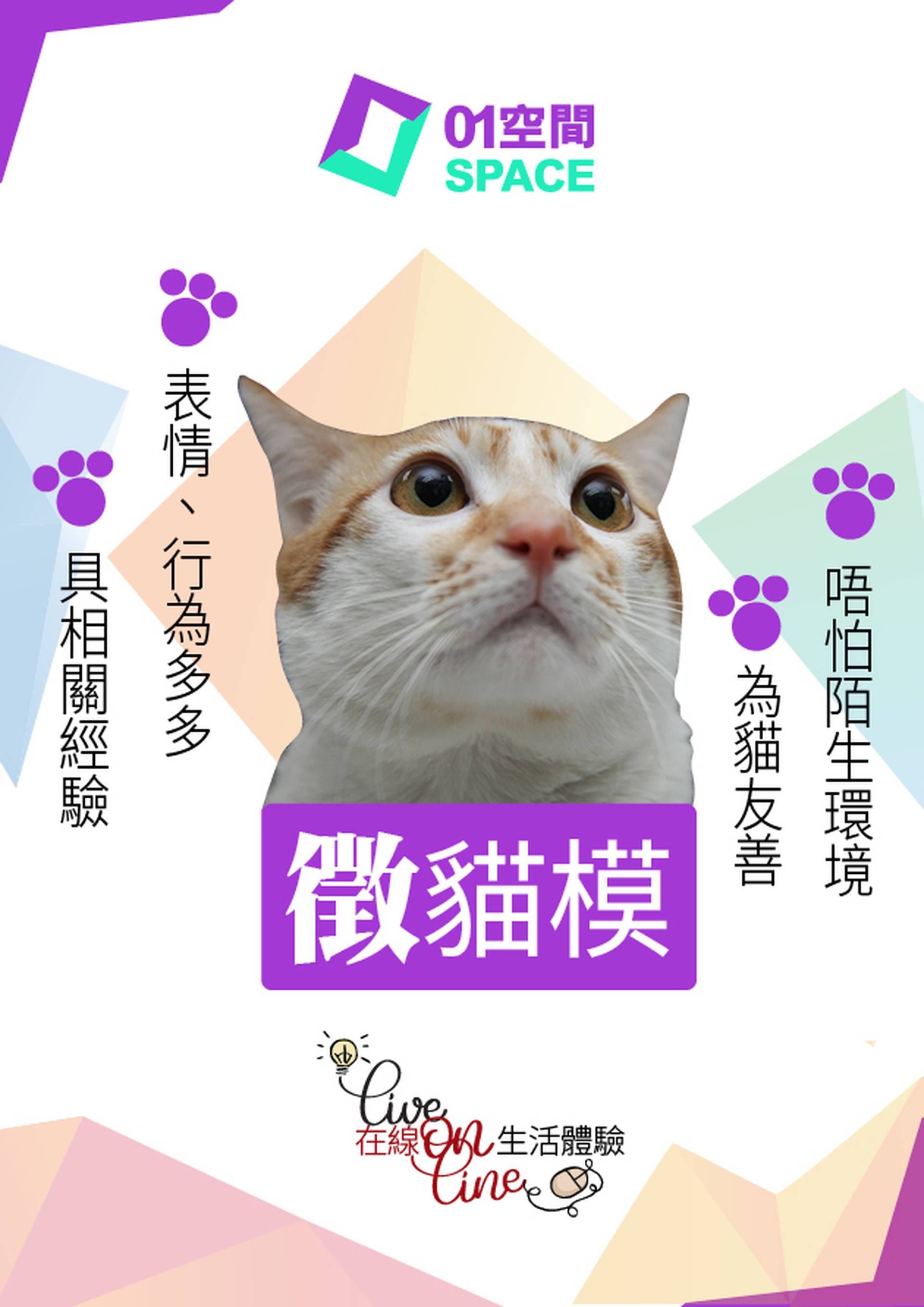徵貓模—與專業導師互動直播