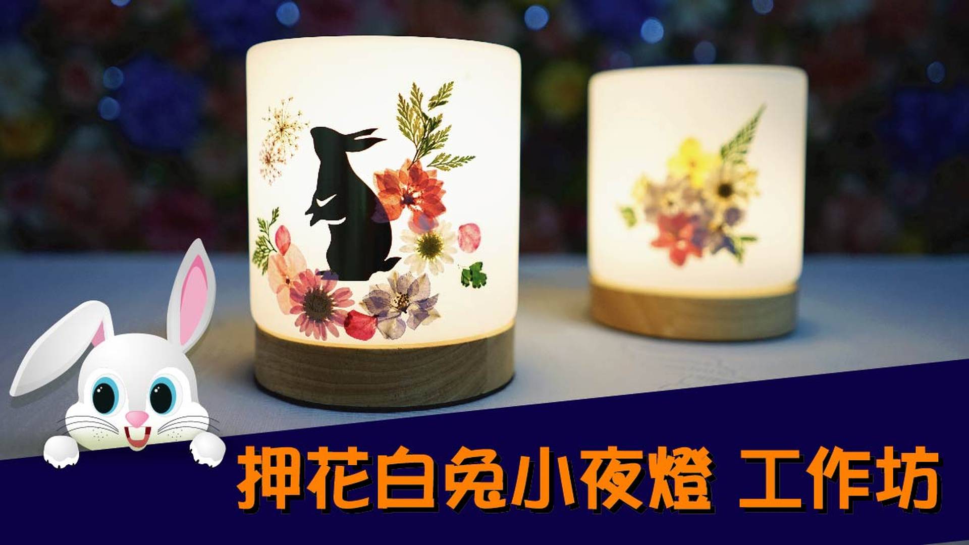 Fleur Doux 活動機構 01空間 Fleur Doux 活動機構 01空間