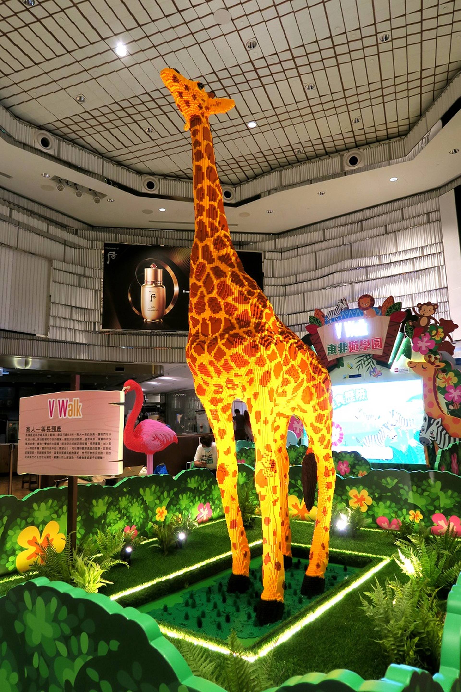 V Walk 東非遊學園