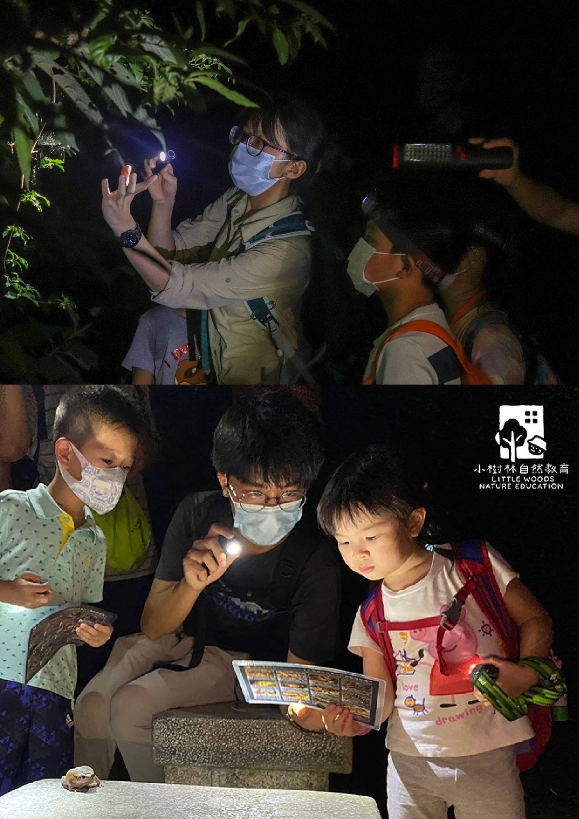 龍虎山夜行導賞活動