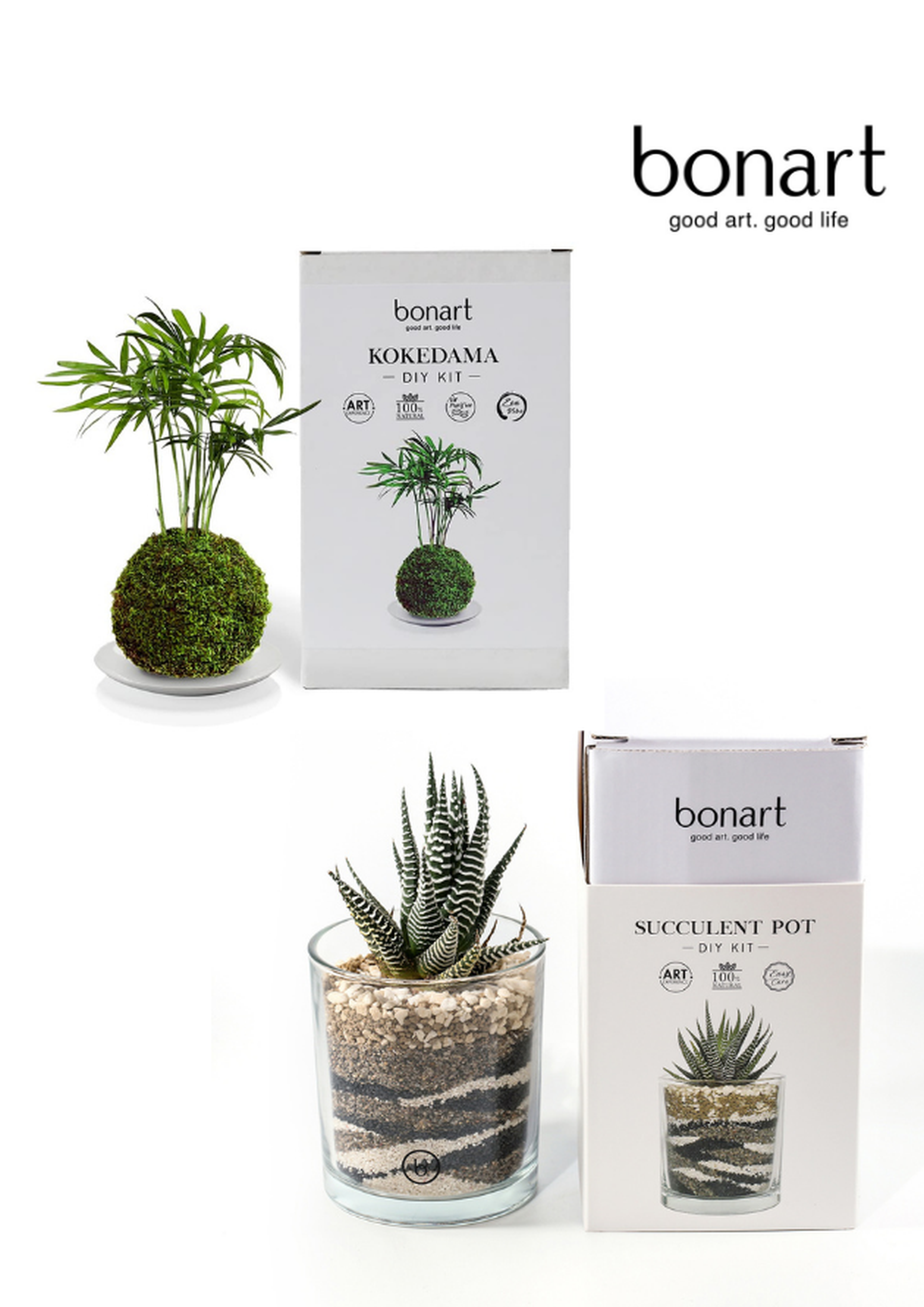 高達92折｜Bonart 苔玉＋多肉植物盆景組合｜網上工作坊