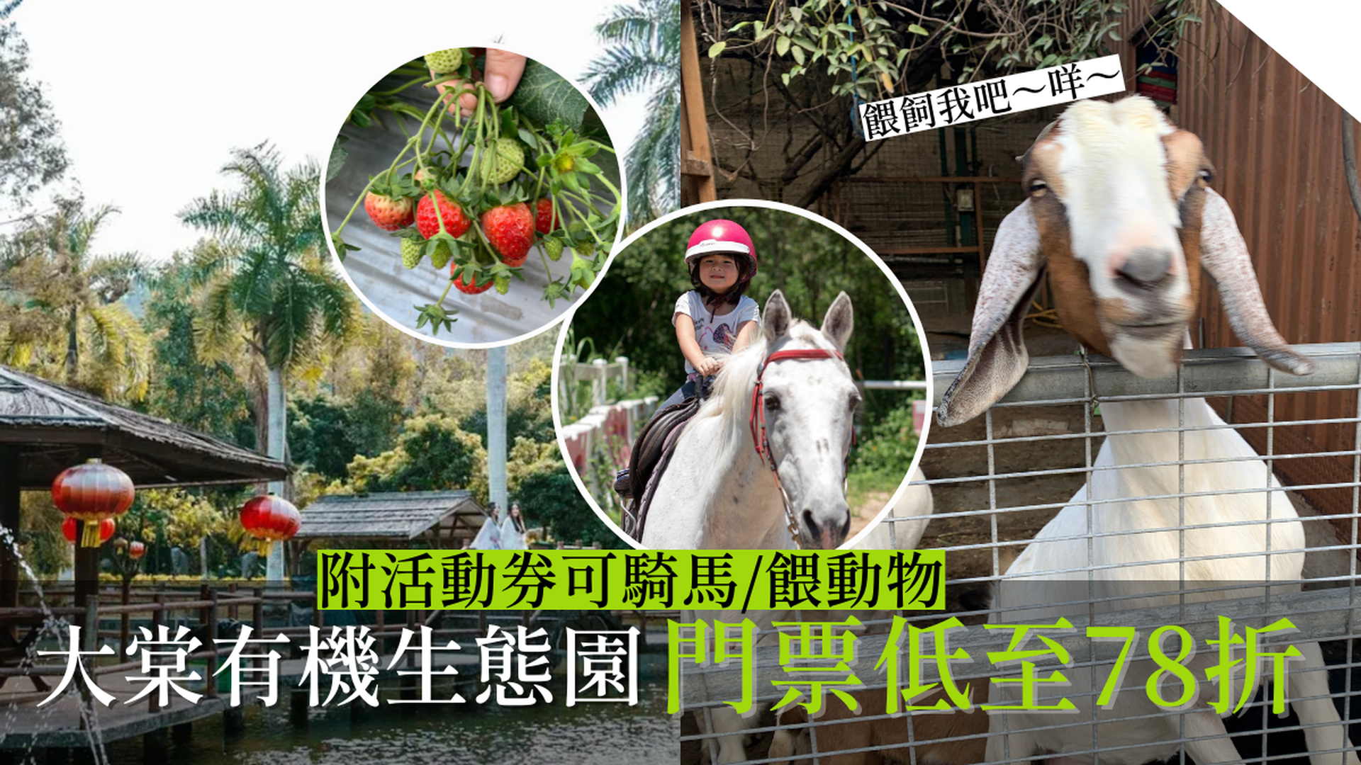 大棠有機生態園優惠套票｜元朗 （建議 1 小時前預訂）