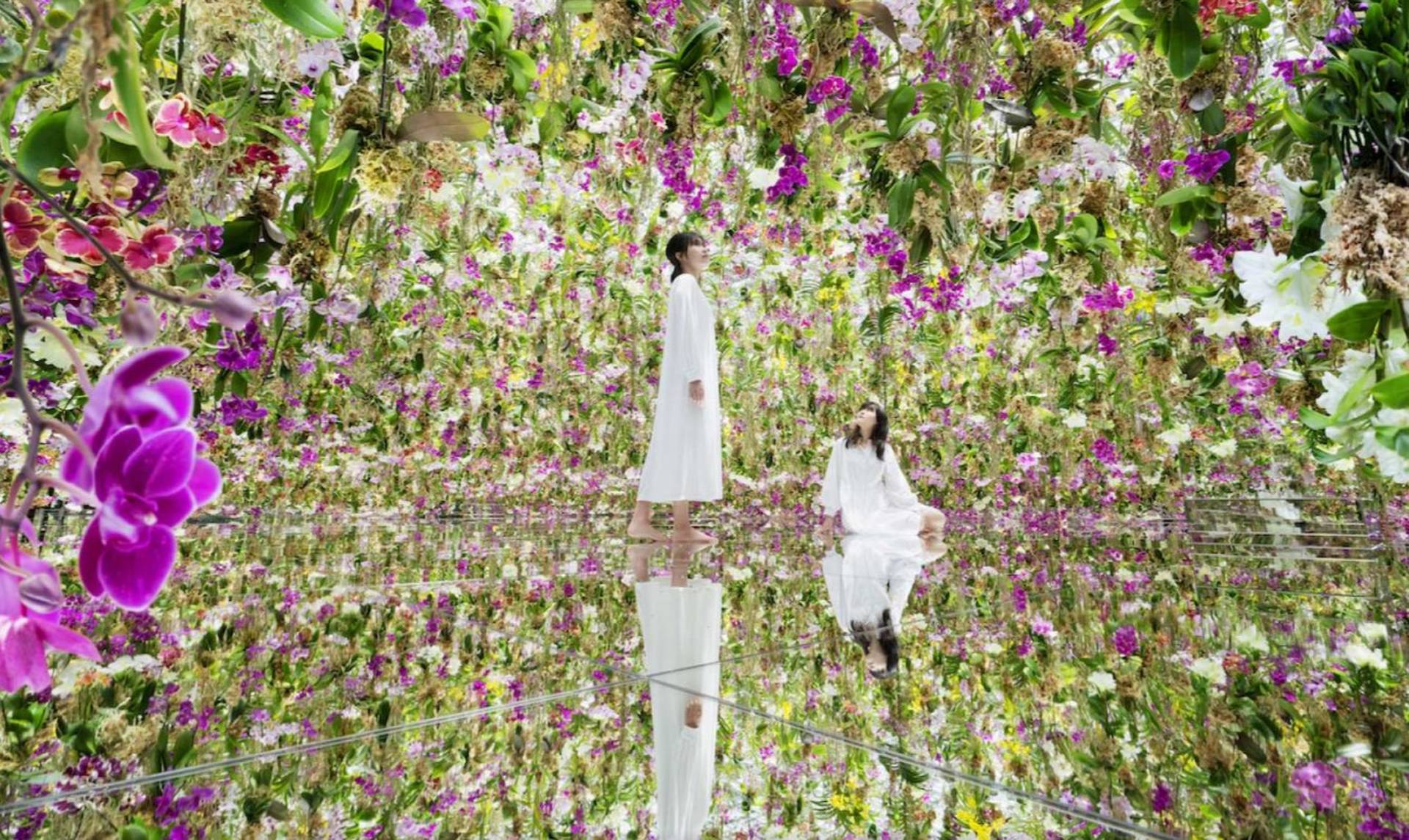 日本東京｜teamLab Planets TOKYO 豐洲新型態美術館入場門票（需10天前預訂）