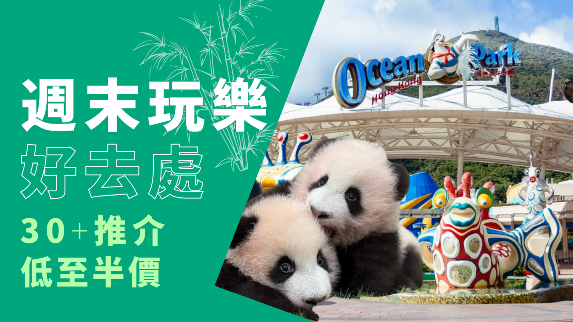 週末玩樂好去處 低至半價｜M+畢加索、打卡熊貓BB、小王子黑暗之旅