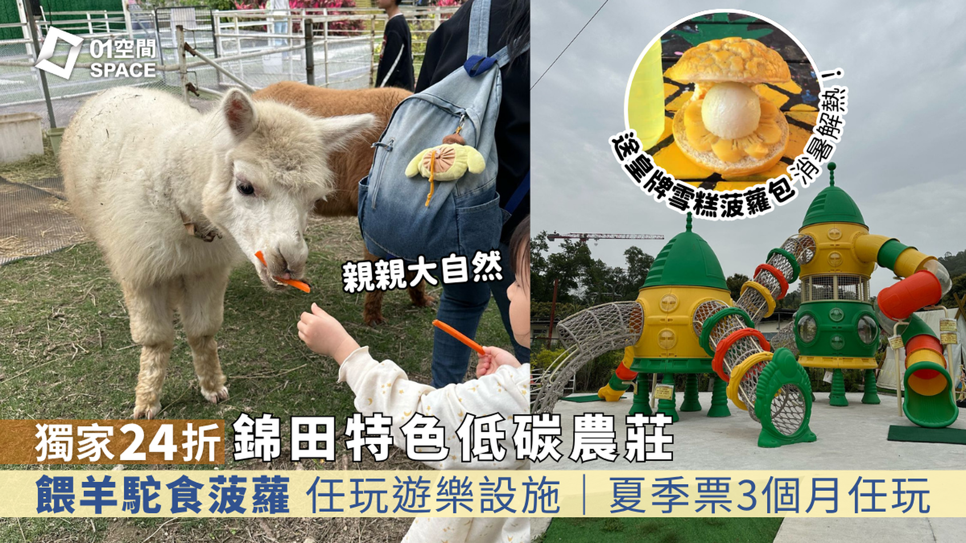 錦田低碳農莊菠蘿園｜暑期夏水禮！獨家24折親親羊駝入場套票｜$299夏季票3個月任玩