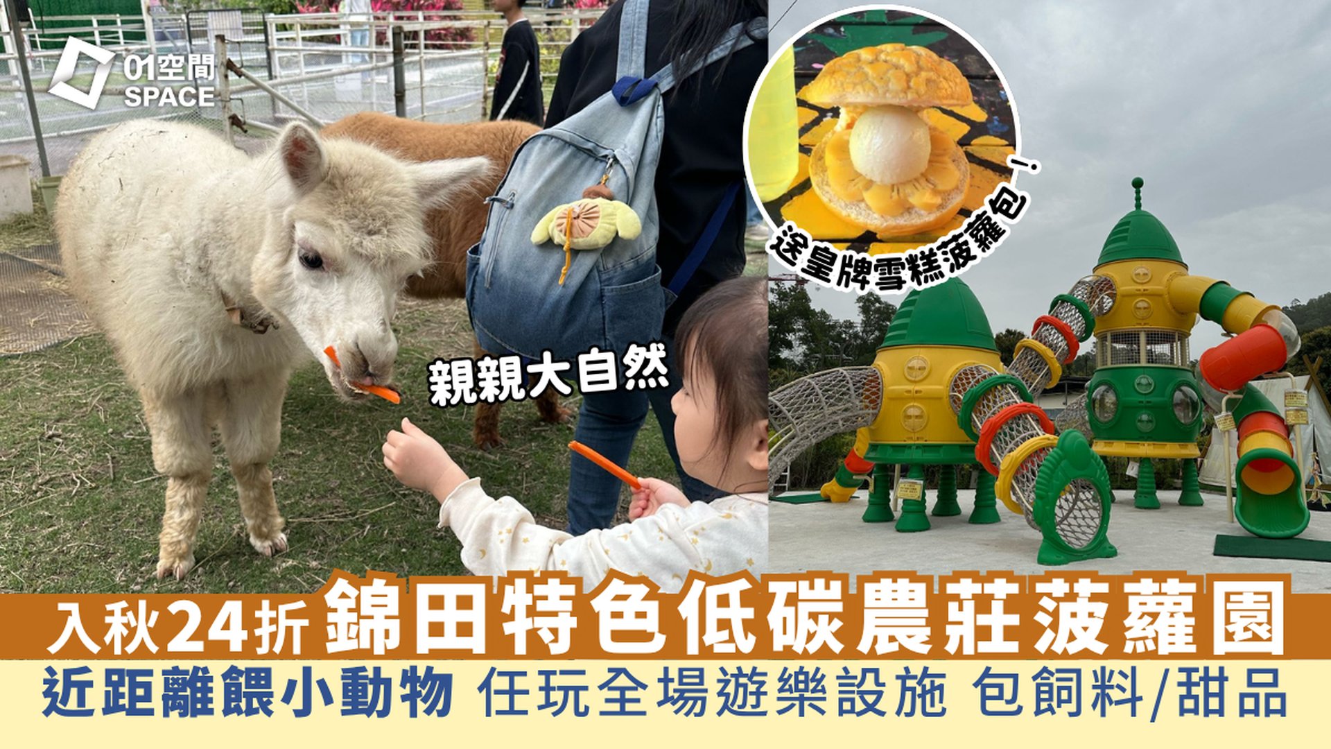 錦田低碳農莊菠蘿園｜獨家限量24折 親親羊駝入場套票｜入秋好去處！近距離餵飼小動物