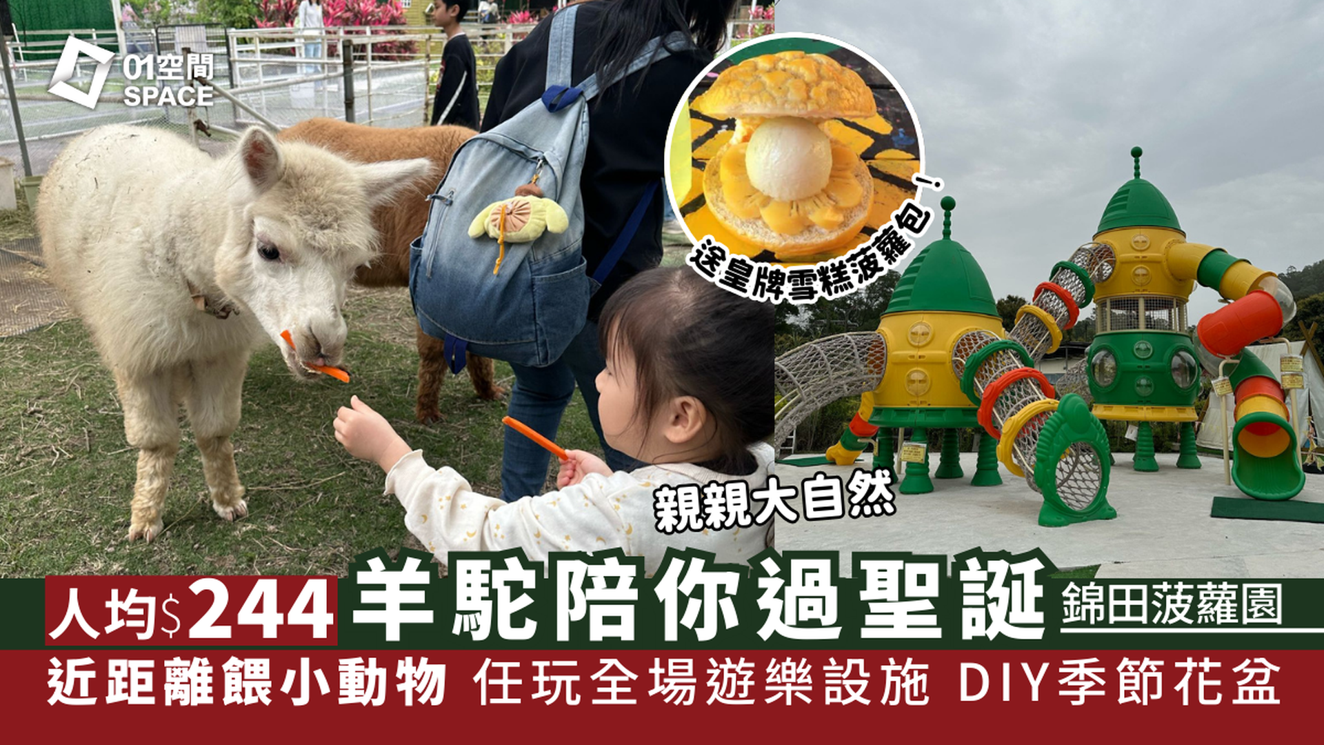 錦田低碳農莊菠蘿園｜獨家限量25折 羊駝陪你過聖誕｜近距離餵飼小動物 食皇牌菠蘿甜品 任玩全場遊樂設施！