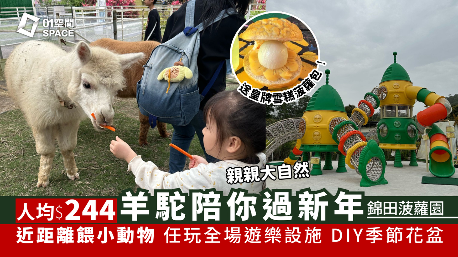 錦田低碳農莊菠蘿園｜獨家限量25折 羊駝陪你過2026｜近距離餵飼小動物 食皇牌菠蘿甜品 任玩全場遊樂設施！