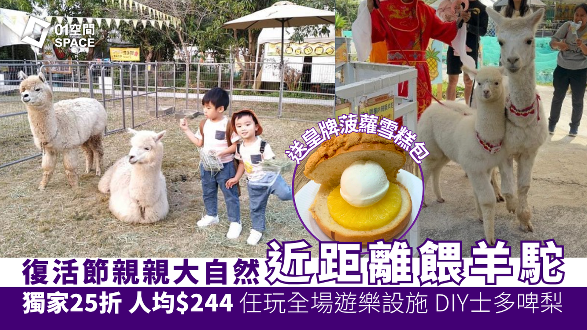 錦上路菠蘿園有機農莊 | 獨家限量25折 羊駝陪你過復活節 2026 | 大派禮物福袋及小羊駝限定公仔 | 採摘士多啤梨 | 任玩最新七彩彈床充氣城堡沙池釣魚池