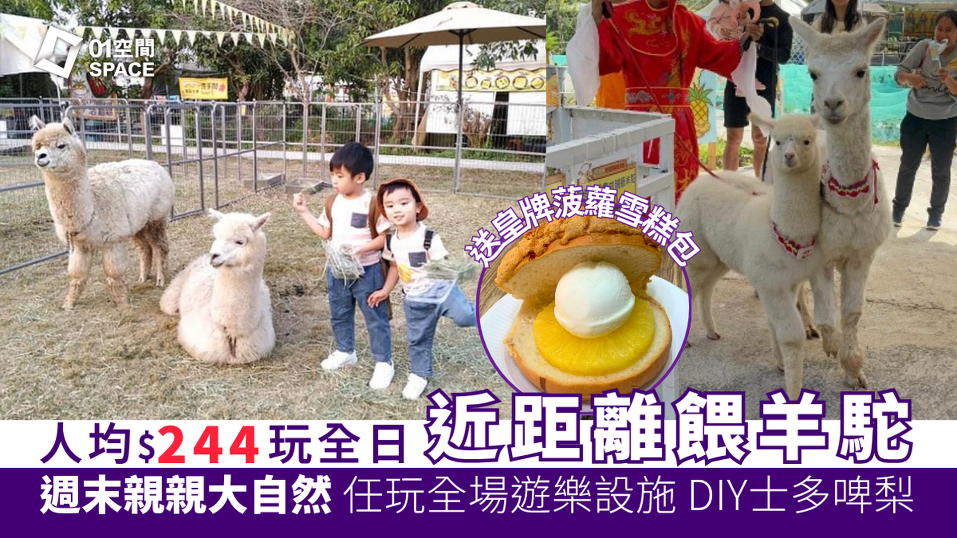 錦上路菠蘿園有機農莊｜獨家限量25折 羊駝陪你過4月 | 大派禮物福袋及小羊駝限定公仔｜採摘士多啤梨｜任玩最新七彩彈床充氣城堡沙池釣魚池｜元朗好去處