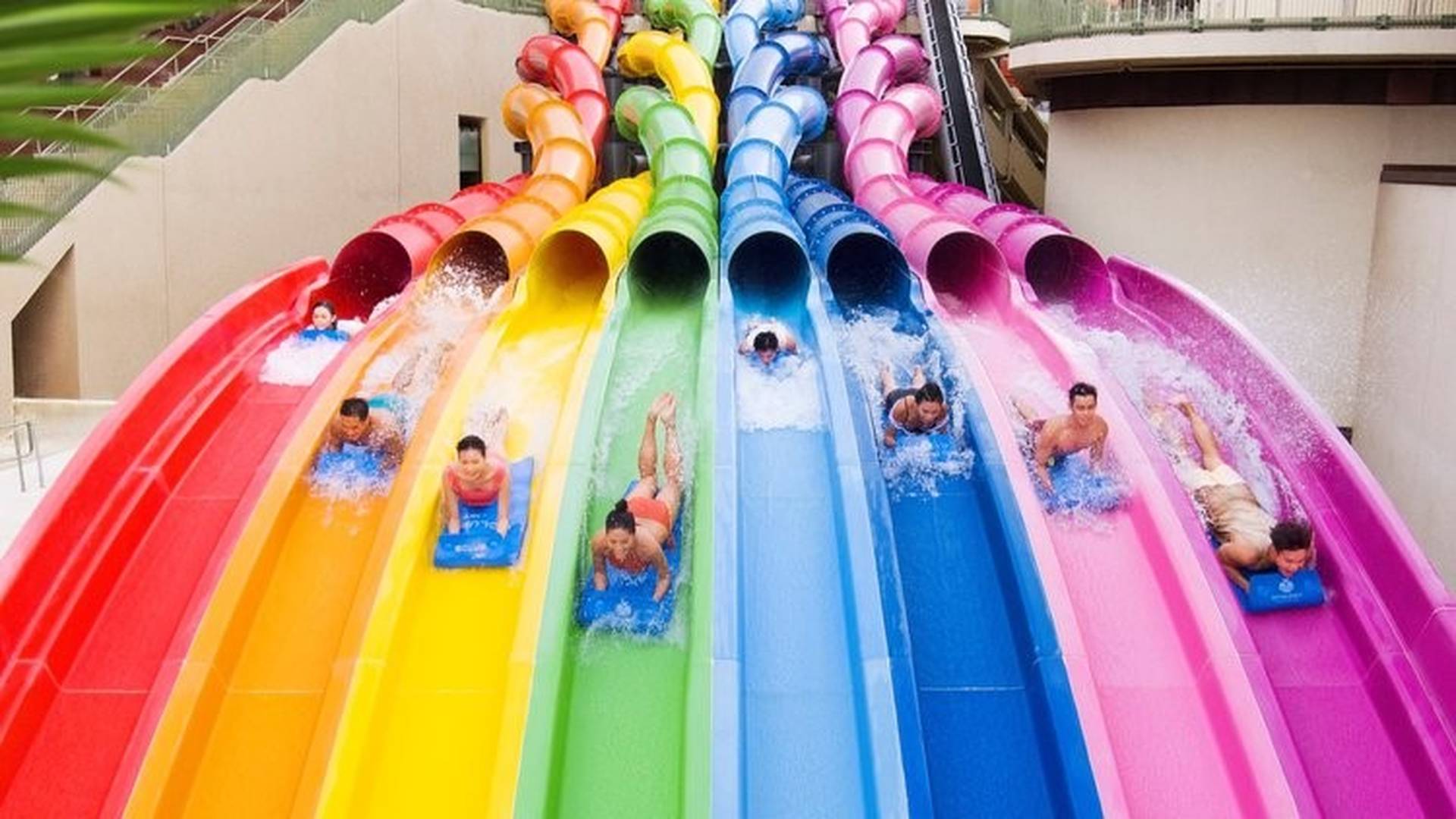 香港海洋公園 · 水上樂園｜5.16重開！日間入場門票